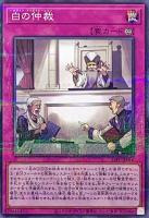 【遊戯王】パラレルレア◇白の仲裁