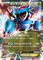 【ポケカ】プロモ◇ボーマンダEX