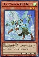 ホップ・イヤー飛行隊