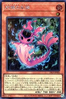 遊戯王　wcsプロモ　エクストラシークレット　まとめ売り 遊戯王 wcsプロモ エクストラシークレット まとめ売り 遊戯王