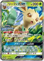 ポケモン - ✩美品✩ ポケモンカード アローラの仲間たち プロモ ポケモンカード アローラの仲間たち プロモ - メルカリ