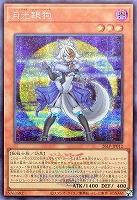 月光銀狗[ロゴ入]