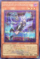 Ｍ∀ＬＩＣＥ＜Ｐ＞Ｃｈｅｓｈｉｒｅ Ｃａｔ[ロゴ入]