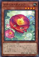 【遊戯王】ノーマル)モンスター◇ナチュル・カメリア