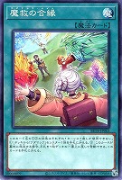 魔救の合縁