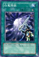 素人さん確認用 白竜の聖騎士 パラレルレア 遊戯王