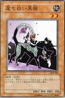 【遊戯王】ノーマル)モンスター◆尾も白い黒猫