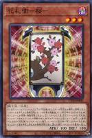 【遊戯王】ノーマル)モンスター◇花札衛-桜-