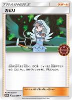 殿堂の書　ポケモンカード 殿堂の書【P】{SM-P}