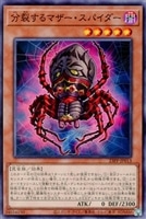 【遊戯王】ノーマル)モンスター◇分裂するマザー・スパイダー