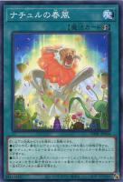 【遊戯王】ノーマル)魔法◇ナチュルの春風
