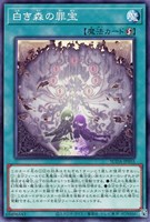 【遊戯王】ノーマル)魔法◇白き森の罪宝