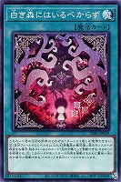 【遊戯王】ノーマル)魔法◇白き森にはいるべからず