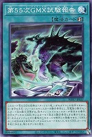 第５５次ＧＭＸ試験報告
