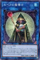 【遊戯王】ノーマル)リンク◇セベクの魔導士