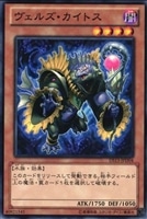 【遊戯王】ノーマル)モンスター◇ヴェルズ・カイトス