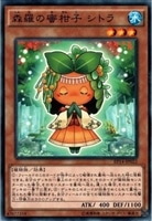 【遊戯王】ノーマル)モンスター◇森羅の蜜柑子 シトラ