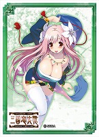 三国志大戦TCG ｵﾌｨｼｬﾙｽﾘｰﾌﾞ2 甘皇后