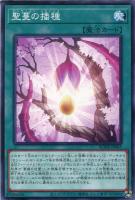 レプティレス・メルジーヌ【遊戯王トレカお買得価格通販：トレコロ】