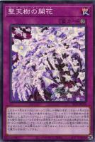 【遊戯王】ノーマル）罠◇聖天樹の開花