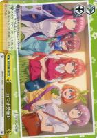 【ヴァイス】ＴＤ◇五つ子勢揃い[品番T62]