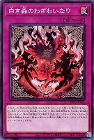白き森のリゼット【遊戯王トレカお買得価格通販：トレコロ】