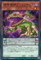 エクソシスターズ・マニフィカ【遊戯王トレカお買得価格通販
