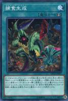【遊戯王】ノーマル)魔法◇捕食生成