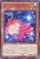 氷水啼エジル・ギュミル【遊戯王トレカお買得価格通販:トレコロ】 氷水啼エジル・ギュミル【遊戯王トレカお買得価格通販:トレコロ】