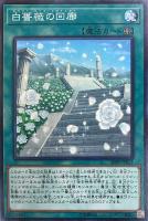ペンデュラムフュージョン【シークレット】{PP19-JP004}《魔法》