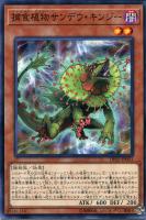 太陽の神官【遊戯王トレカお買得価格通販：トレコロ】