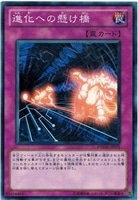 【遊戯王】ノーマル)罠◇進化への懸け橋