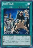 【遊戯王】ノーマル)魔法◇剣闘調教