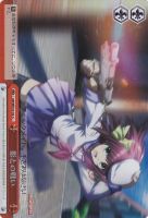 【ヴァイス】C)ホロ仕様◇影との戦い