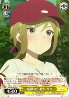 【ヴァイス】C◇危険な山登り リタ