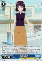 カードを買う/ヴァイスシュヴァルツ/2023年度作品/アリス・ギア