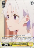 【ヴァイス】Ｃ◇その視線の先は 白日