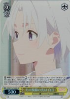 【ヴァイス】ＳＲ◇その視線の先は 白日