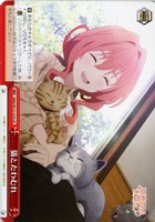 【ヴァイス】ＣＲ◇猫とたわむれ