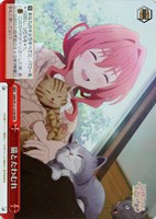 【ヴァイス】ＲＲＲ◇猫とたわむれ