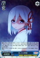 【ヴァイス】ＳＲ◇怯える朝姫