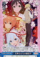 カードを買う/ヴァイスシュヴァルツ/2025年度作品(並び順