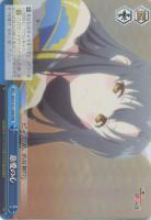 【ヴァイス】RRR◇慈愛の心