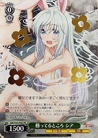 【ヴァイス】プロモ)箔押し◇勝ってるところ シア