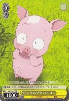 【ヴァイス】C◇ピンクのブタ ハルユキ