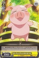 【ヴァイス】C◇おっちょこちょいなハルユキ