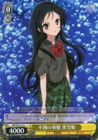 加速世界》の絆 黒雪姫【ヴァイスシュヴァルツトレカ高価買取