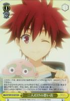 【ヴァイス】SR◇二人だけの思い出