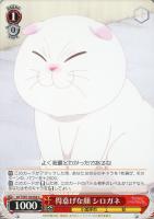 【ヴァイス】C◇得意げな顔 シロガネ