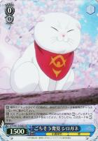 【ヴァイス】SR◇ごちそう発見 シロガネ